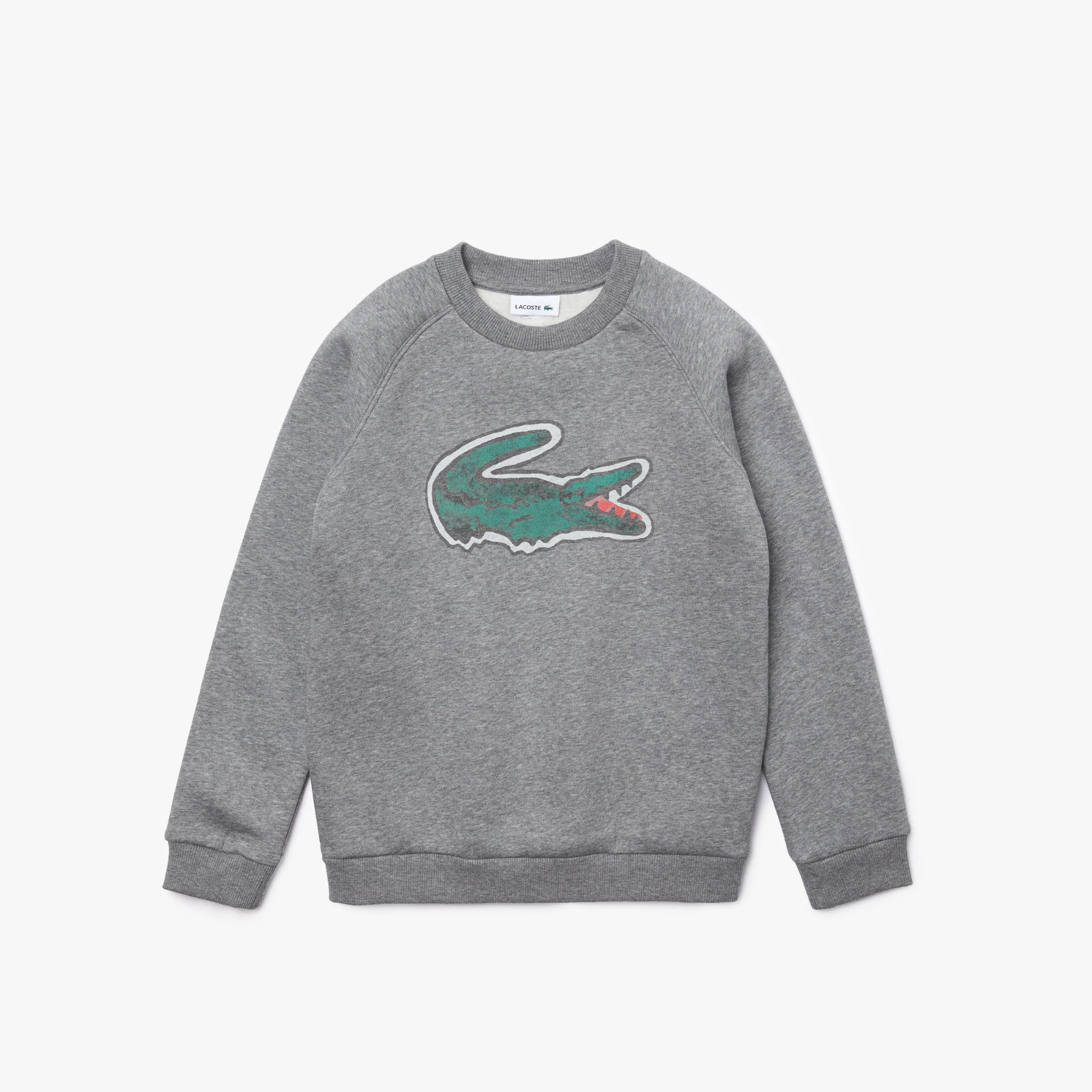 Boys’ Crocodile Graphic Fleece Sweatshirt SJ0312-51