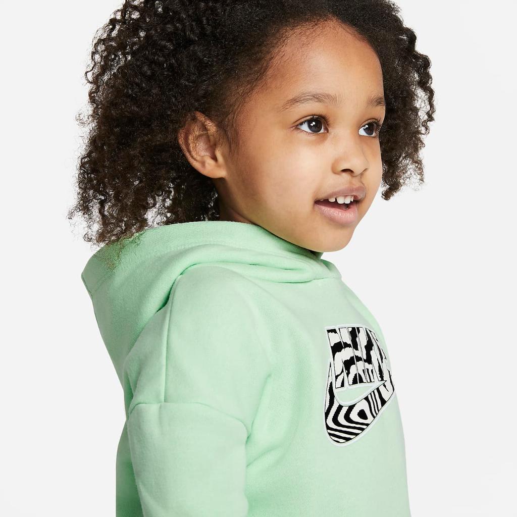 Nike Toddler Pullover Hoodie 26H496-E2E