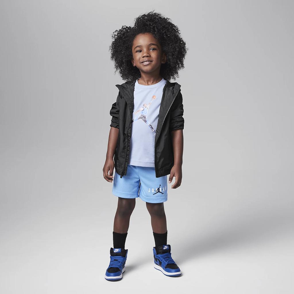 Jordan Essentials Toddler Graphic Mesh Shorts 75C186-B9F