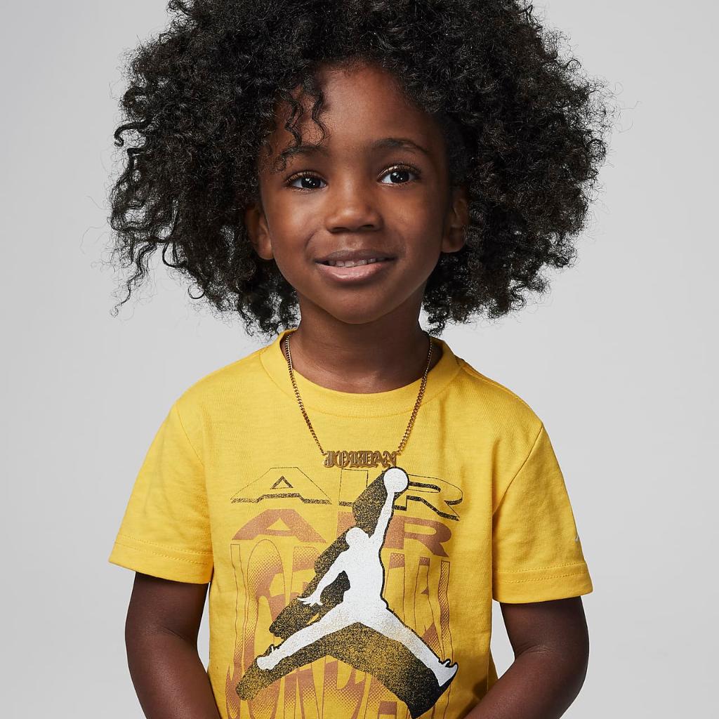 Jordan Air 3-D Toddler 2-Piece Shorts Set 75D003-023