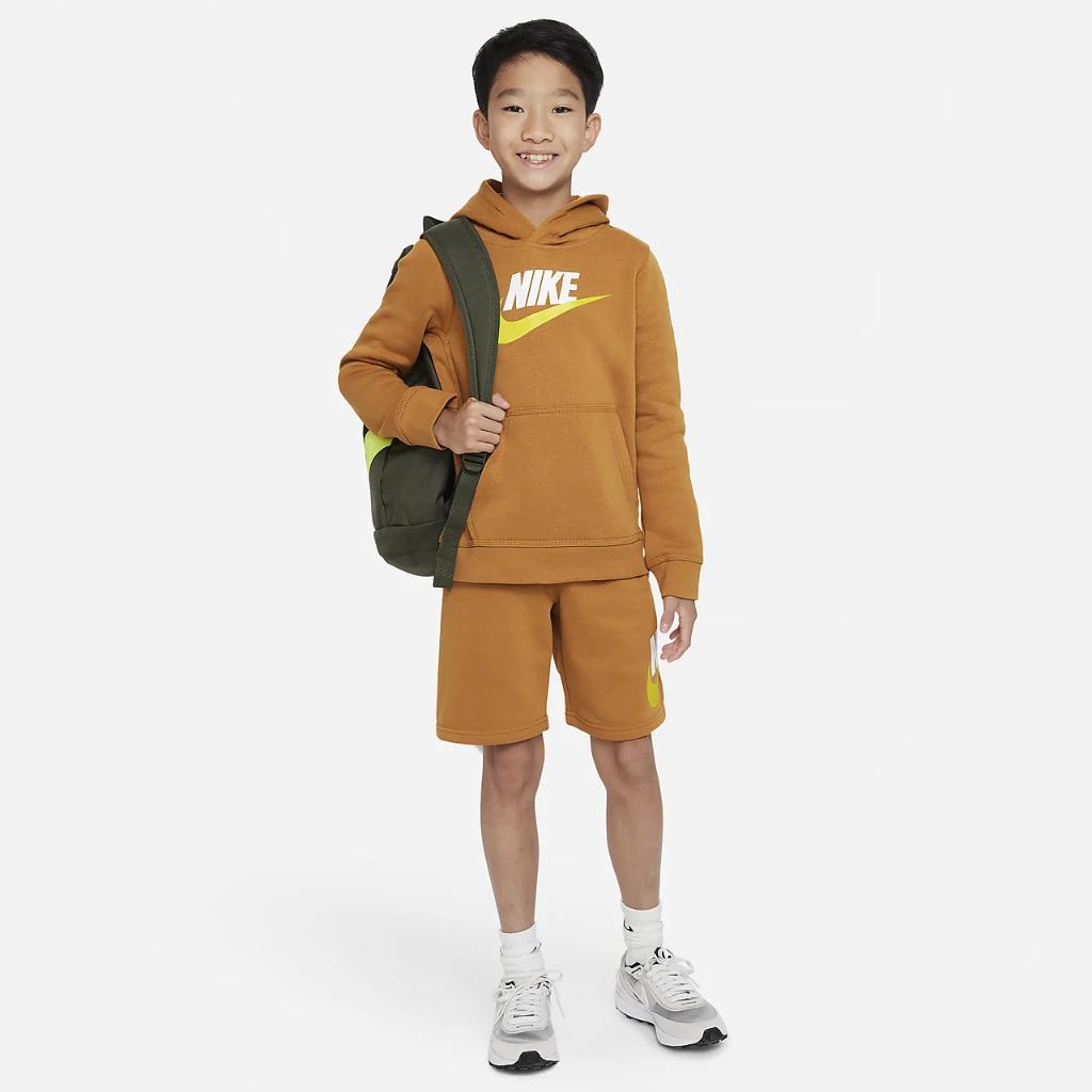Nike Sportswear Club Fleece Big Kids’ Pullover Hoodie CJ7861-754