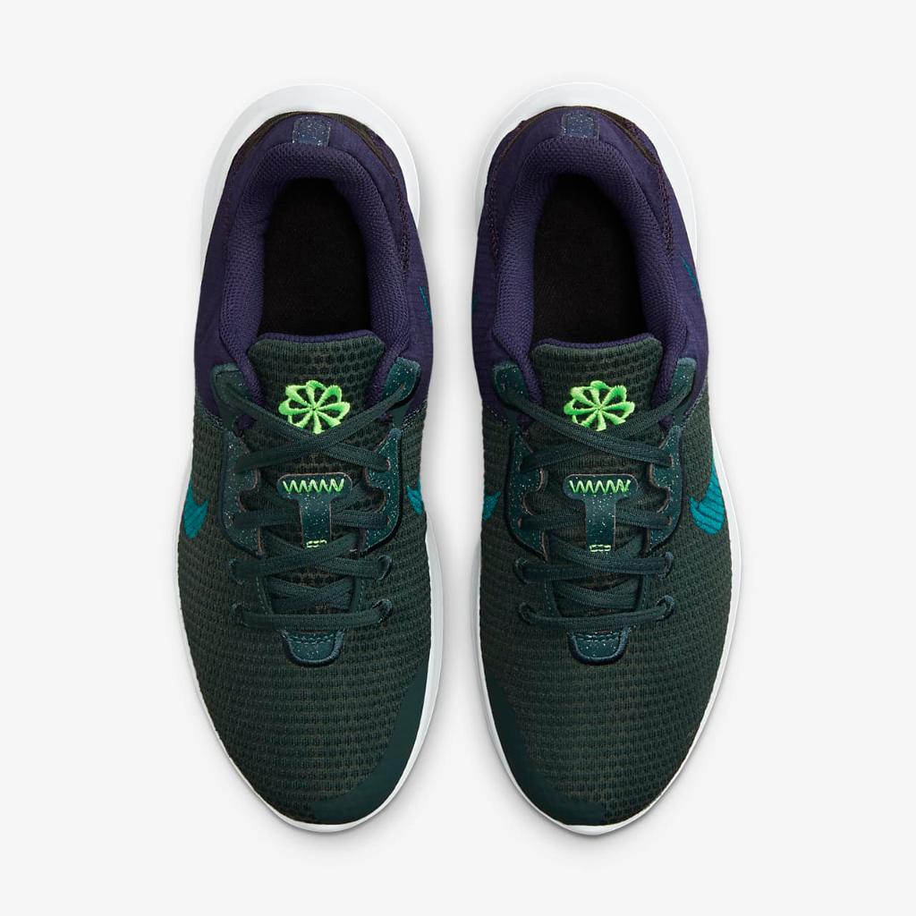 Nike Flex Experience Run 11 Men&#039;s Road Running Shoes DD9284-301