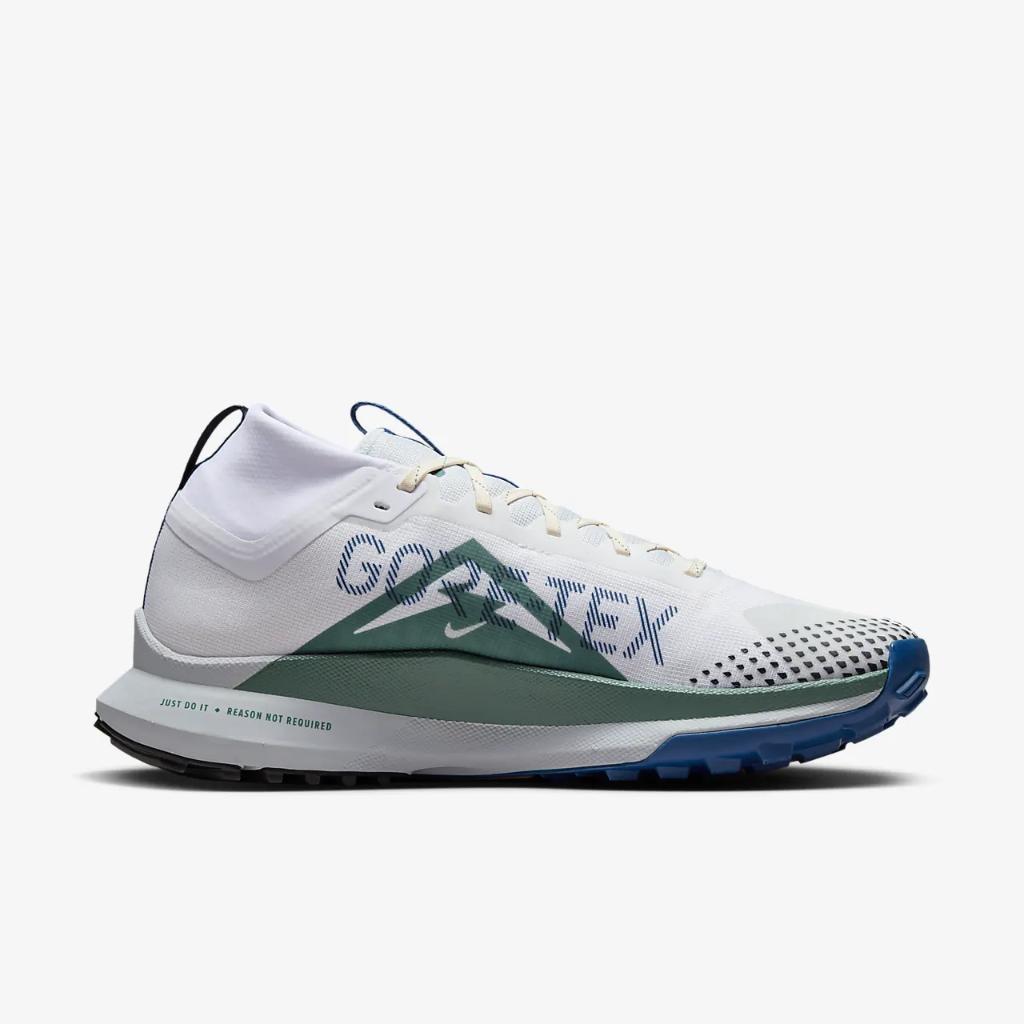 Nike Pegasus Trail 4 GORE-TEX Men&#039;s Waterproof Trail Running Shoes DJ7926-102