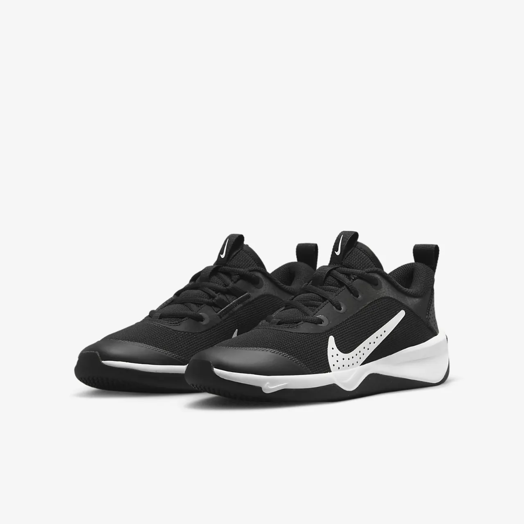 Nike Omni Multi-Court Big Kids&#039; Indoor Court Shoes DM9027-002