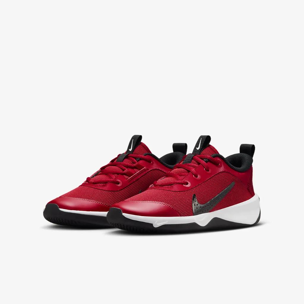 Nike Omni Multi-Court Big Kids&#039; Indoor Court Shoes DM9027-601