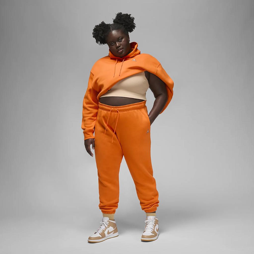 Jordan Brooklyn Women&#039;s Fleece Pants (Plus Size) DQ4480-847