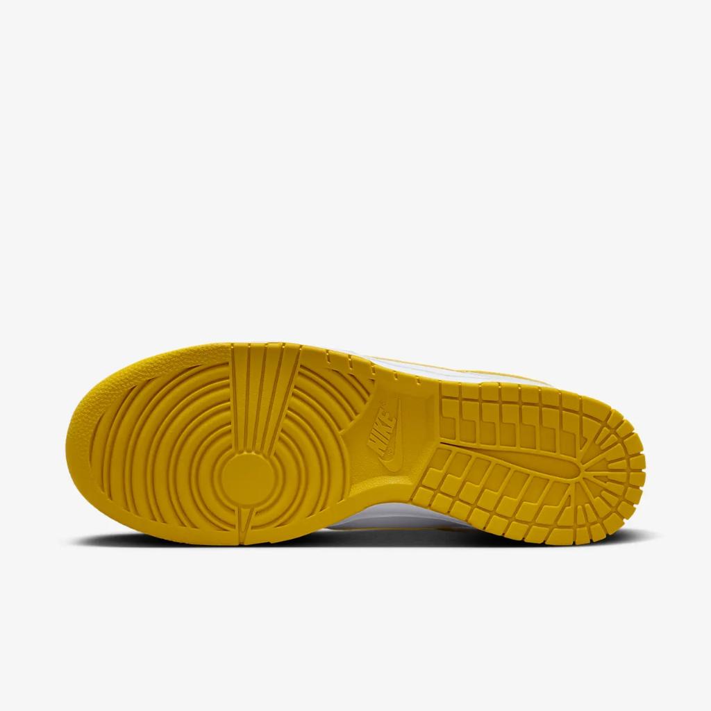 Nike Dunk Low Retro Men&#039;s Shoes DV0831-110
