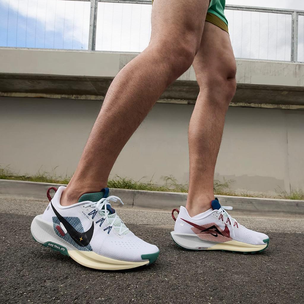 Nike Pegasus Trail 5 Men&#039;s Trail Running Shoes DV3864-100