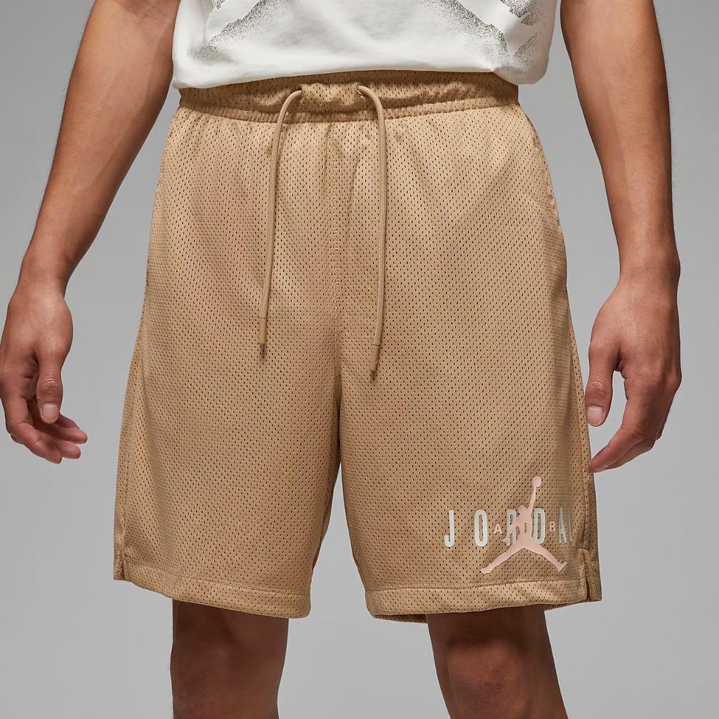 Jordan Essentials Men&#039;s Mesh Shorts DV7652-254