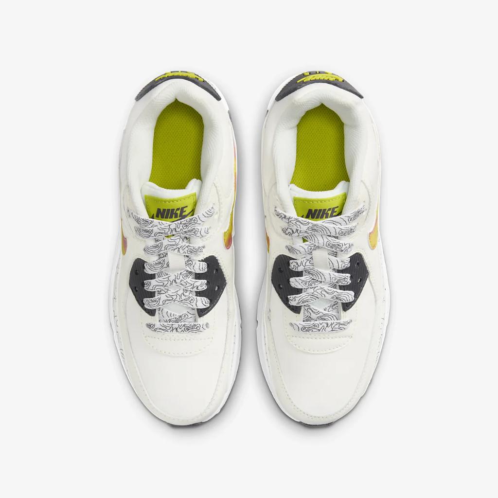 Nike Air Max 90 LTR SE Big Kids’ Shoes DX1814-100