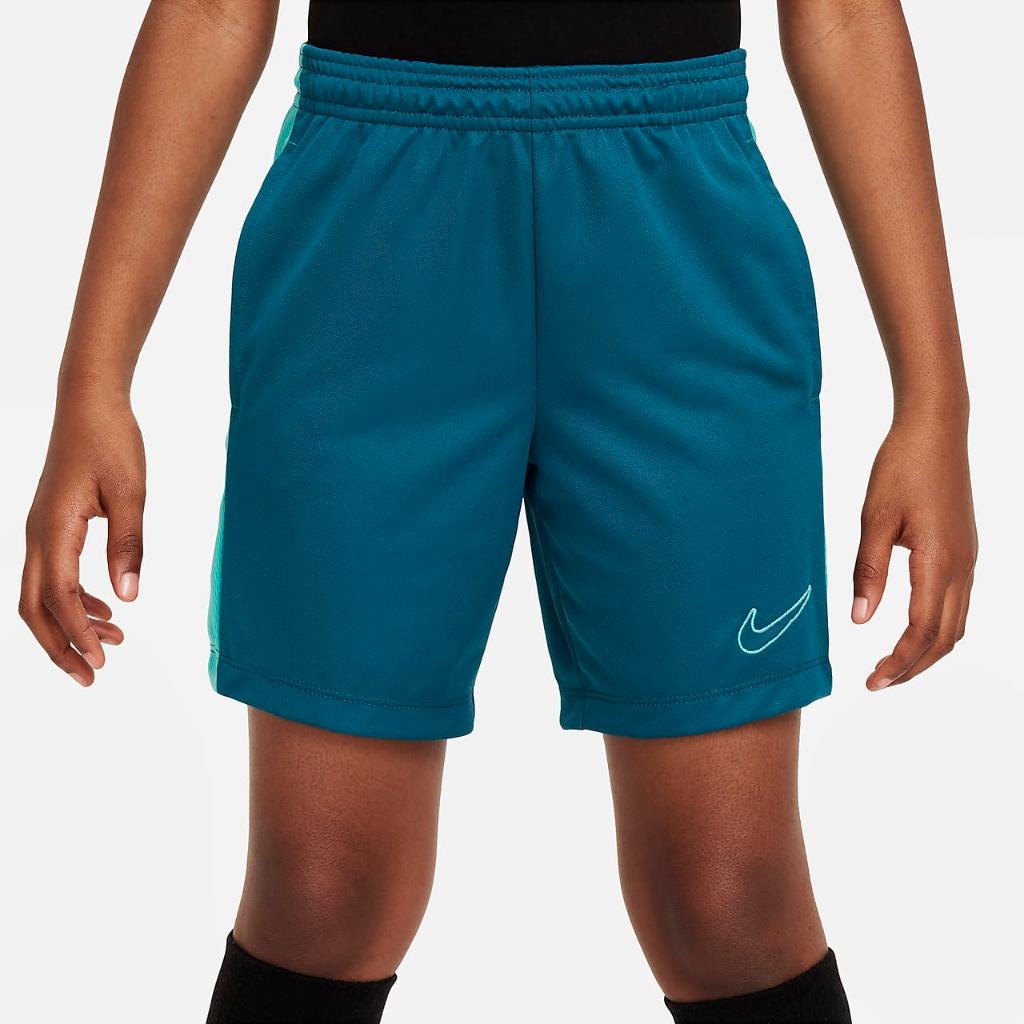 Nike Trophy23 Big Kids&#039; Dri-FIT Training Shorts DX5416-381