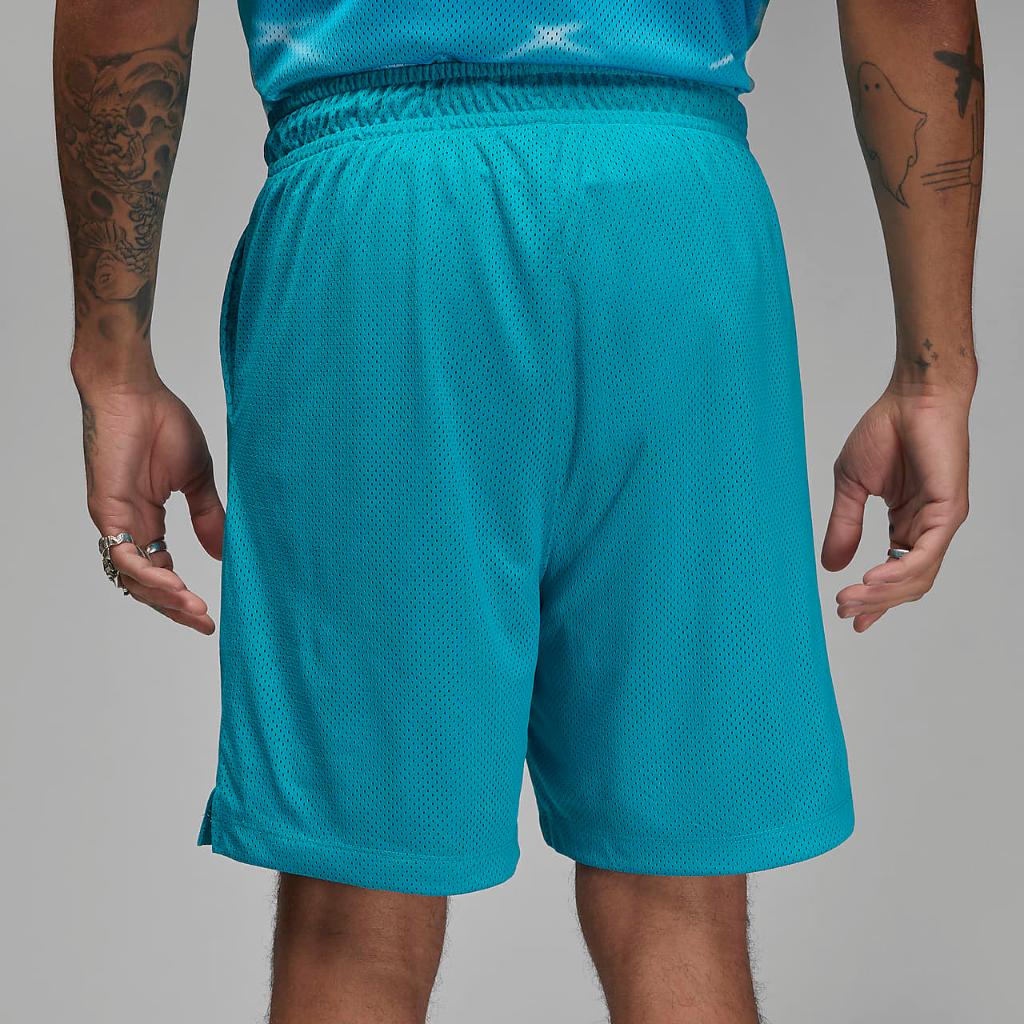Jordan Essentials Men&#039;s Graphic Mesh Shorts DX9671-483
