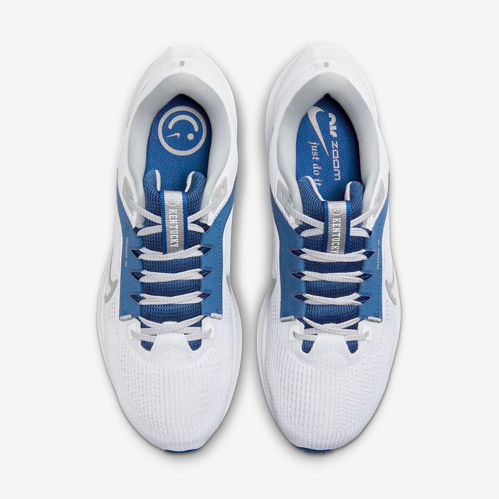 Nike Pegasus 40 (Kentucky) Men&#039;s Road Running Shoes DZ5986-100
