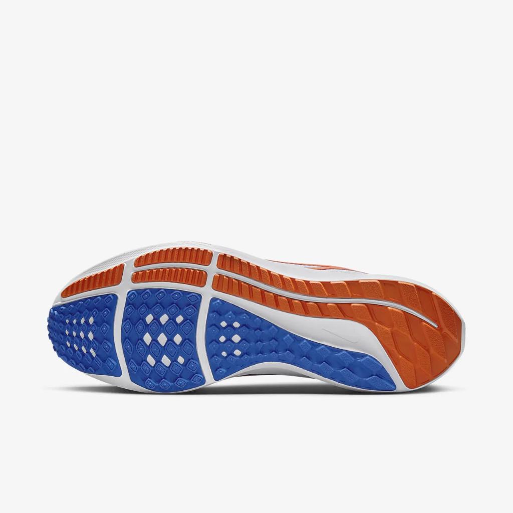 Nike Pegasus 40 (Florida) Men&#039;s Road Running Shoes DZ5998-100