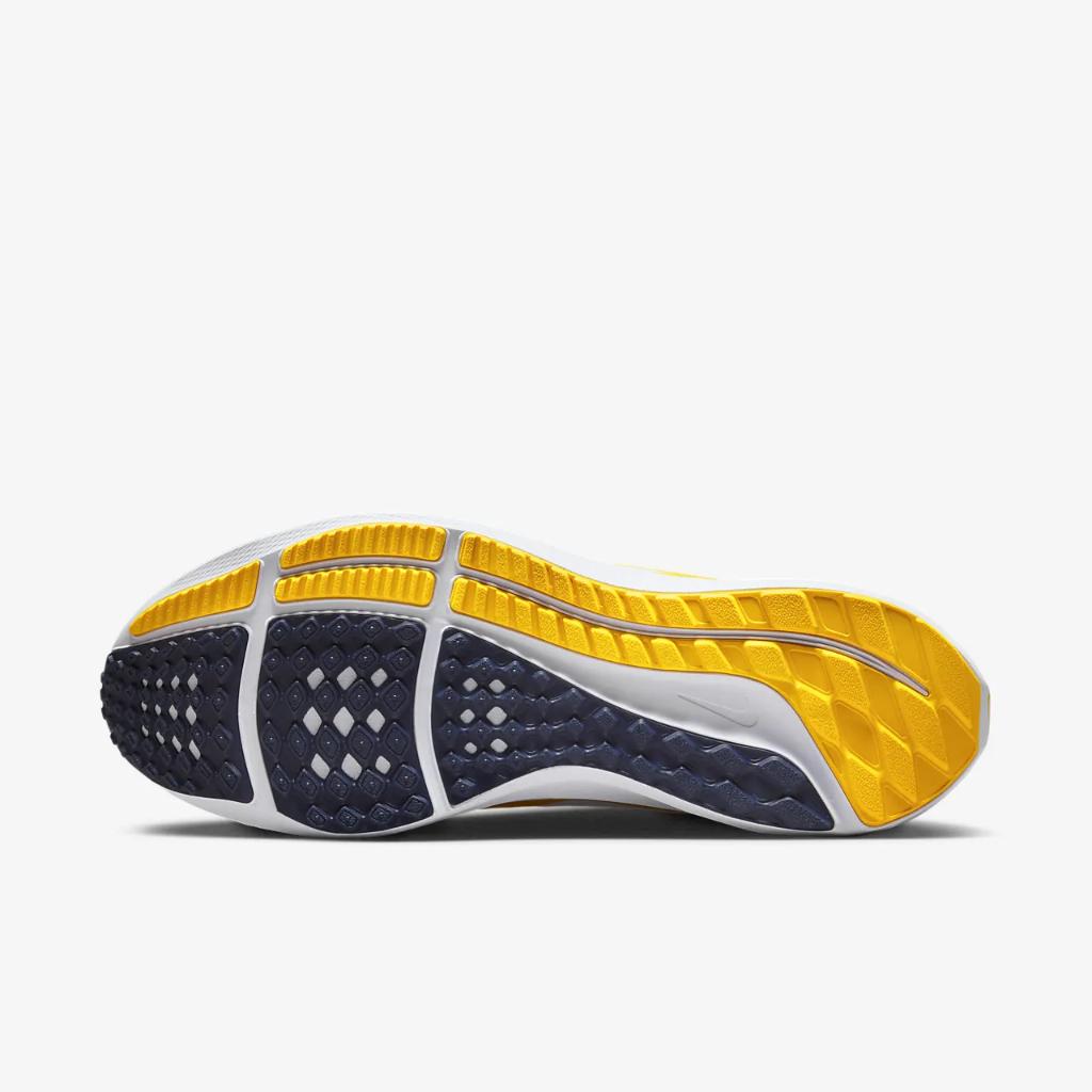 Nike Pegasus 40 (Michigan) Men&#039;s Road Running Shoes DZ6001-100