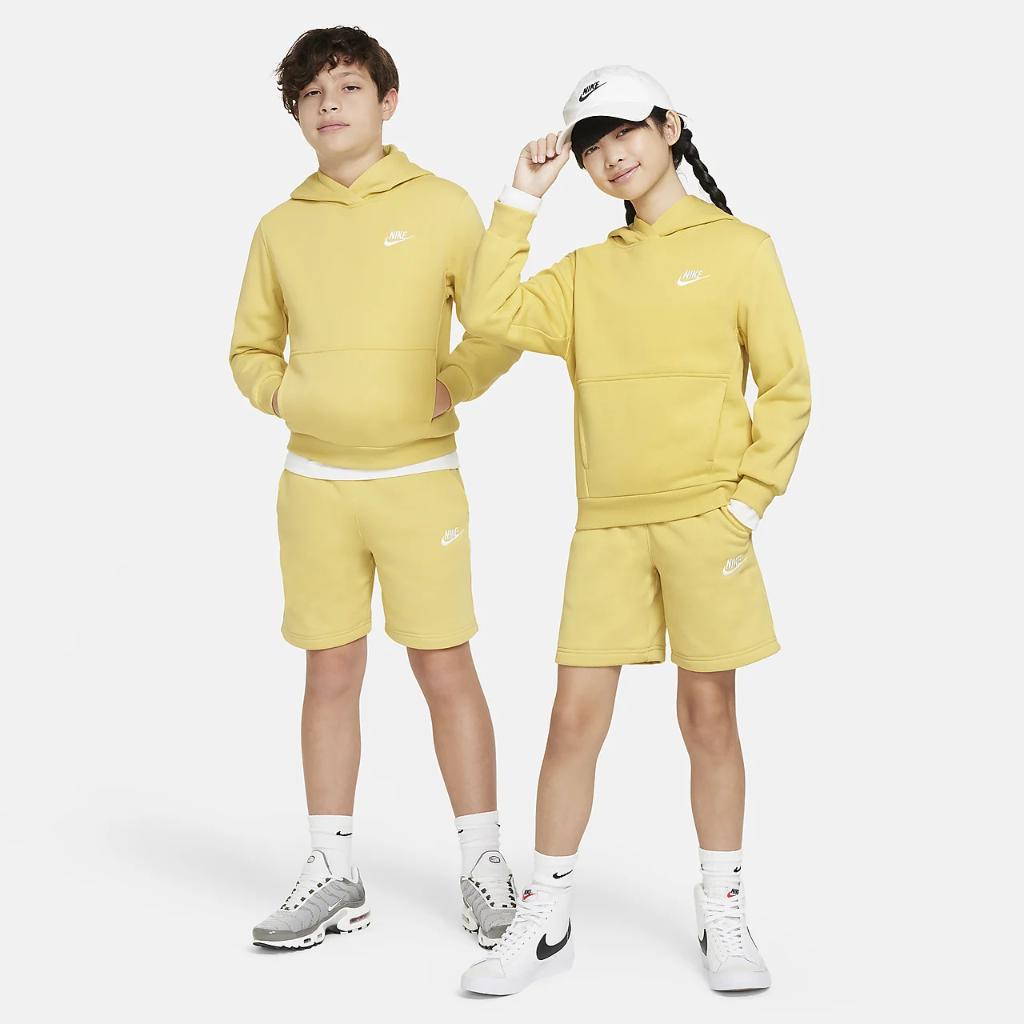Nike Sportswear Club Fleece Big Kids&#039; Pullover Hoodie FD3000-700