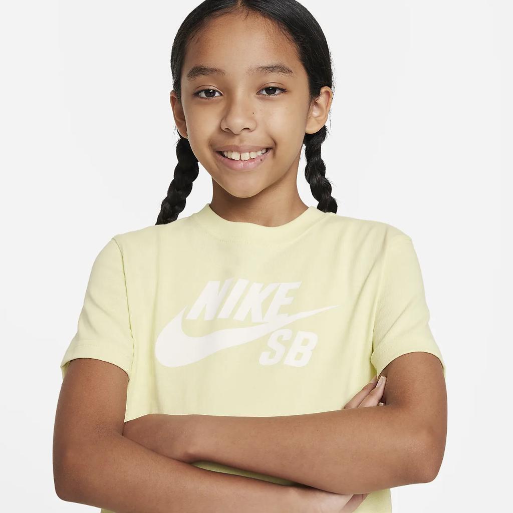 Nike SB Big Kids&#039; T-Shirt FD4001-331