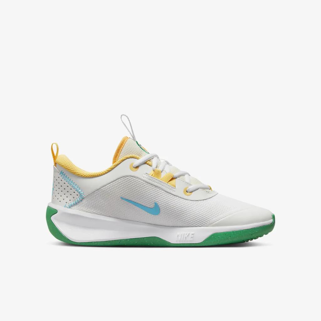 Nike Omni Multi-Court Big Kids&#039; Indoor Court Shoes FJ7719-141