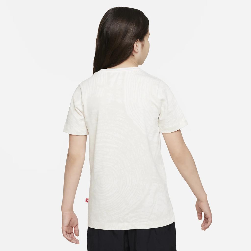 Nike SB N7 Big Kids&#039; T-Shirt FN0502-100